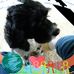 Kim Wireman - Facebook