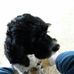 Kim Wireman - Facebook