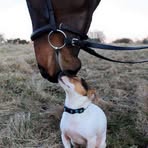 Kim Withers - Facebook