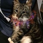 Kim Withers - @currank4 - Instagram