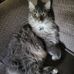 Kim Womack - Facebook