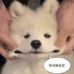 김우선 - Facebook
