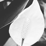 kim worden - @kim.worden - Instagram