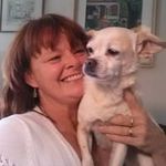 Kim Worden Rosekrans - @kimrosekrans - Instagram