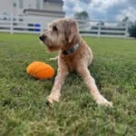 Kim Wright - @kimwright300 - Instagram