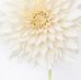 Kim Wyman - Facebook