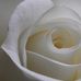 Kim Yoder - Facebook