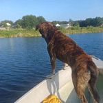 Kim Yoder - @kim.yoder.1848 - Instagram