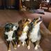Kimberly Yoder - Facebook