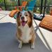 Kim Yost - Facebook