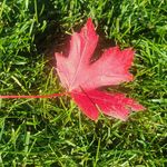 Kim Youmans - @kmy261930 - Instagram