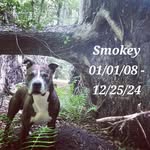 Kimber Green - @justbeingme70 - Instagram