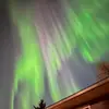 Kimber - @kimber.green - TikTok
