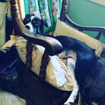 Kimber Jackson - @kimberthebc - Instagram