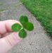 Kimber Williams - Facebook