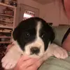 Kimber Williams - @kimboo2014 - TikTok