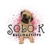 Kimberlee Cook - Facebook