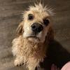 Kimberlee Cook - @kimberleecook3 - TikTok