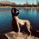 Kimberlee Cook - @darkmoonwitch_ - Instagram