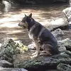 kimberlee - @kimberleegreenwaycamp - TikTok