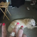 Kimberlee Jackson - @kimberlee1587 - Instagram