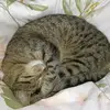 Kimberlee Maye - @kimberleemaye - TikTok
