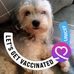 Kimberlee Mitchell - Facebook