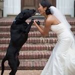 Kimberlee Ryan Murphy - @kimberleejmurphy - Instagram