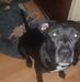 Kimberlee Stone - Facebook