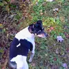 Kimberly Blain - @kimberly.blain - TikTok