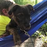 Kimberly Brady-Tetting - @bradytetting - Instagram