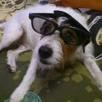 Kimberley Brooks - @normanismydogsname - Instagram