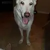 Kimberley Brooks - @kimberley.brooks22 - TikTok