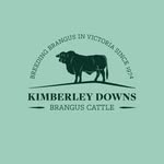 Kimberley Downs - @kimberleydownsbrangus - Instagram