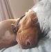 Kimberlee Fraser - Facebook