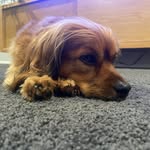 Kimberley Fraser - @kimberleyfraser11 - Instagram