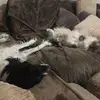 kimberleyfraser45 - @kimberleyfraser45 - TikTok