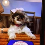 Kimberly gregory - @poohbearkrg - Instagram