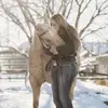 Kimberly Hunter - @kimberly_hunter - TikTok