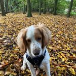 Kimberley Mason - @kimberleydmason - Instagram