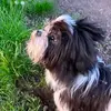 kimberleymaxwell60 - @kimberleymaxwell60 - TikTok