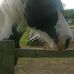Kimberley McLean - Facebook