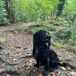 Kimberley Naylor - @kimmynay - Instagram