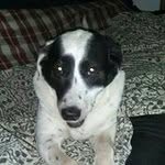 Kimberley Page - @pagekimberley - Instagram