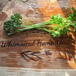 kimberly | lifestyle + food page - @whimsical_homestead - Instagram