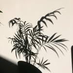 Kimberley Porter - @my.everyday.photography - Instagram