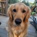 Kimberly Shaffer - Facebook