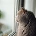 Komo Reese Kimberly Abner - Facebook
