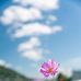 Kimberly Abrego - Facebook