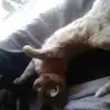 Kimberly Ahner - @kimberly.ahner - TikTok